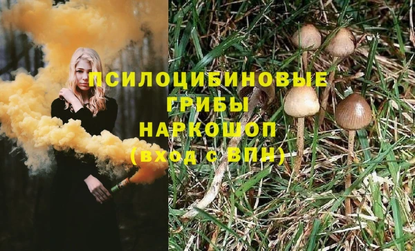 2c-b Верхний Тагил