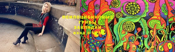 2c-b Верхний Тагил