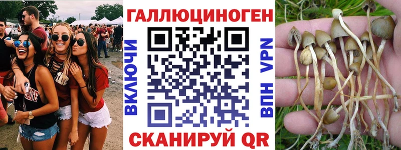OMG ONION где найти Стерлитамак Псилоцибиновые грибы Magic Shrooms